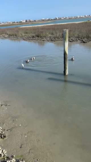 City Moment · Myrtle Beach