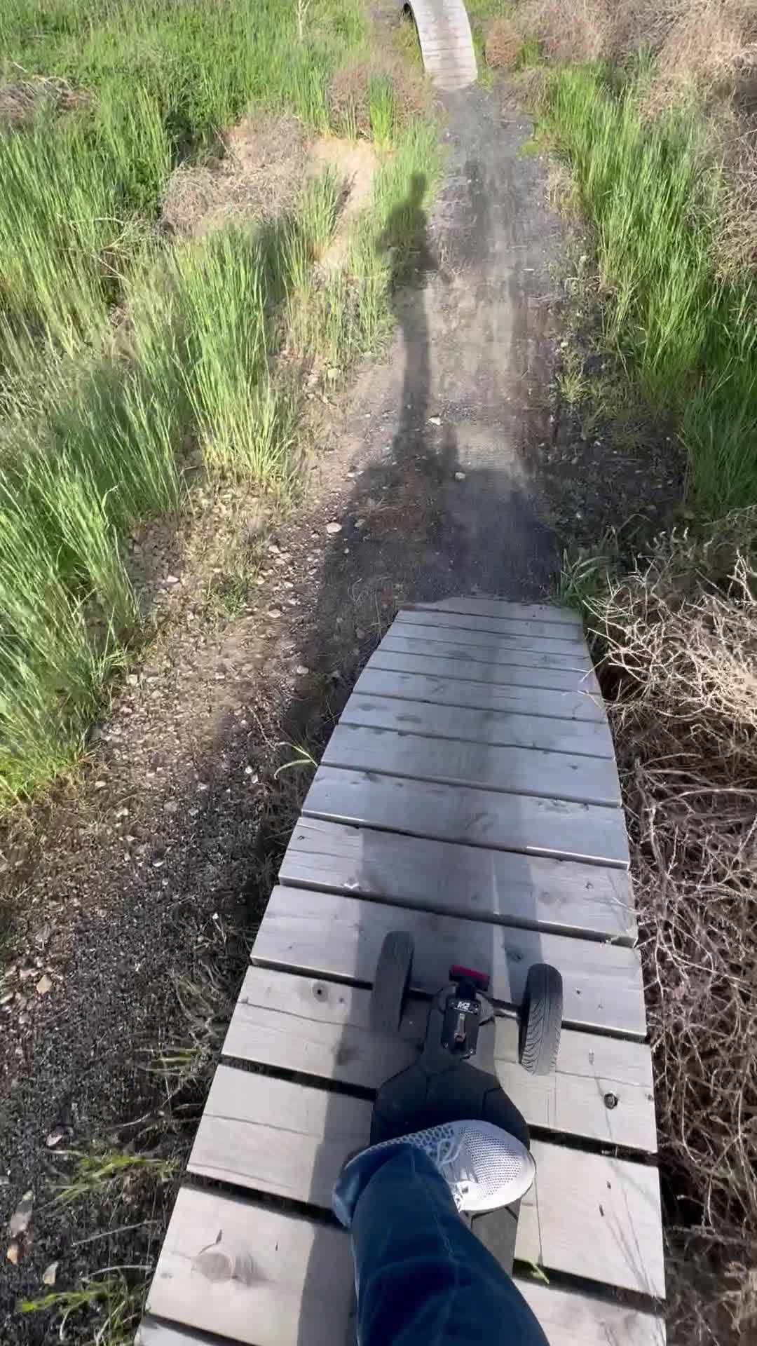 Bingham Creek Regional Park