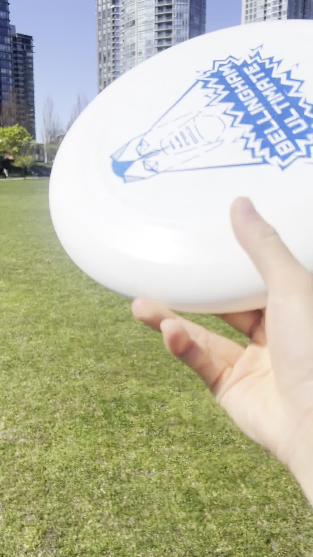 Video review of David Lam Park