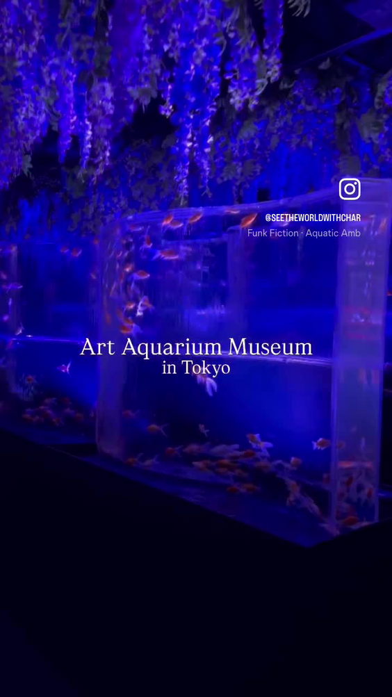 ART AQUARIUM MUSEUM
