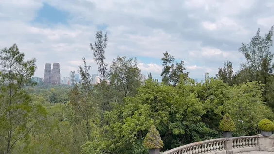 Chapultepec 540