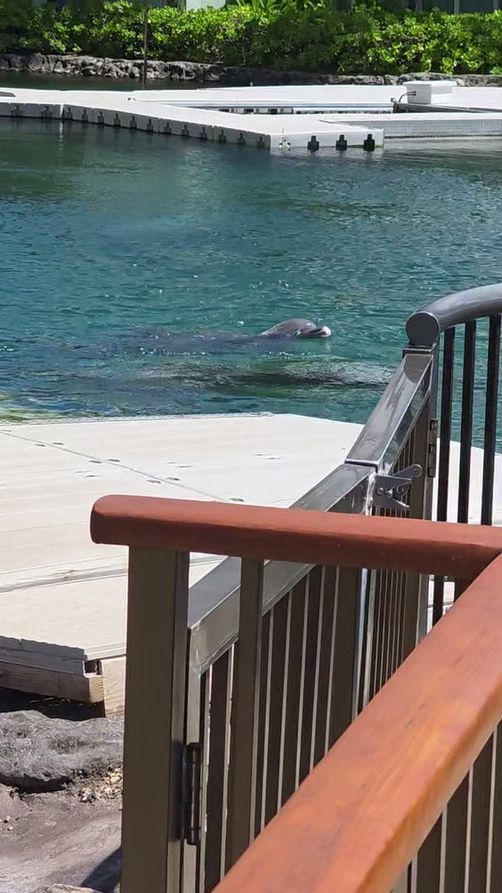 Kahala