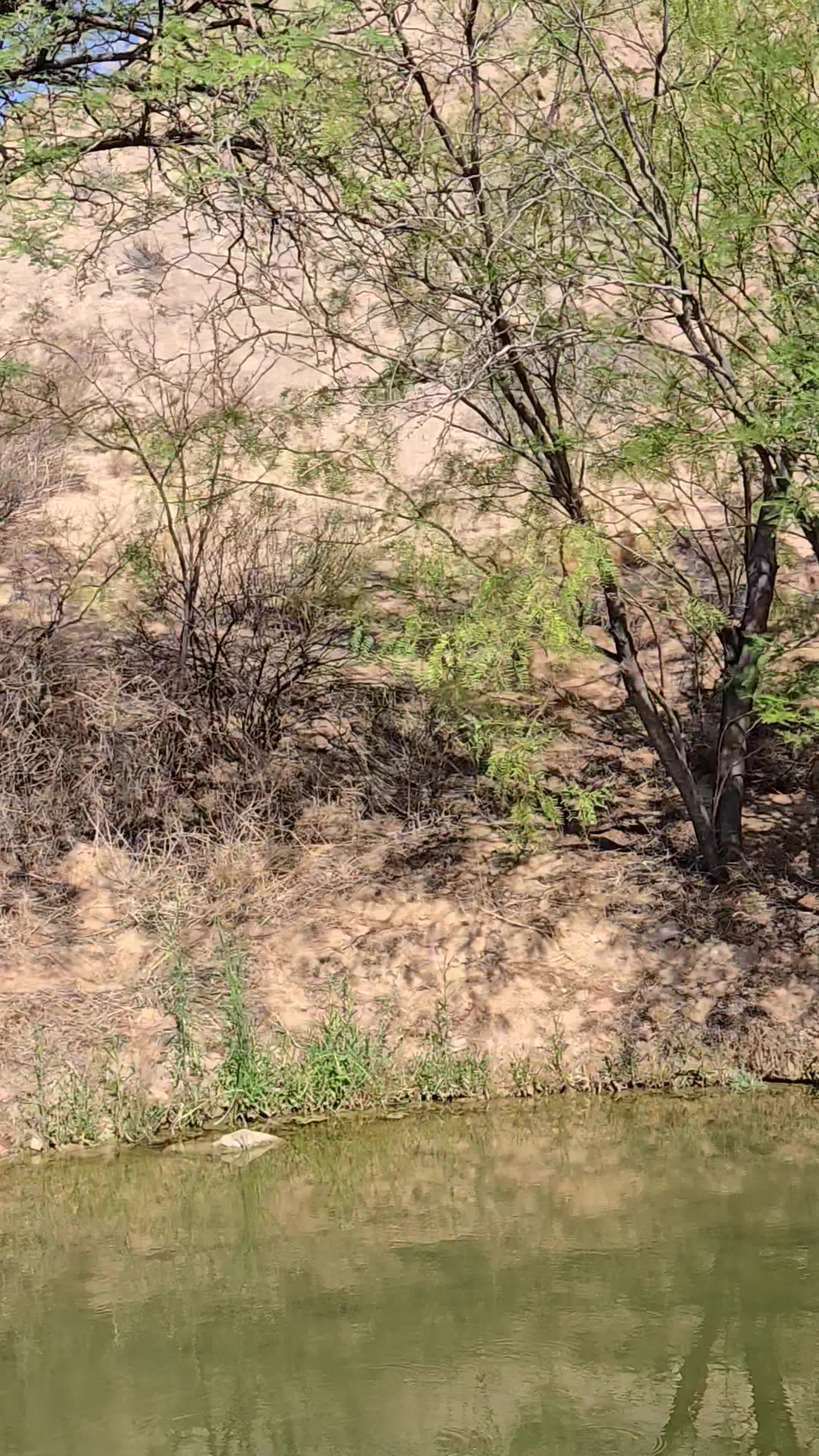 Wolf Creek Golf Club