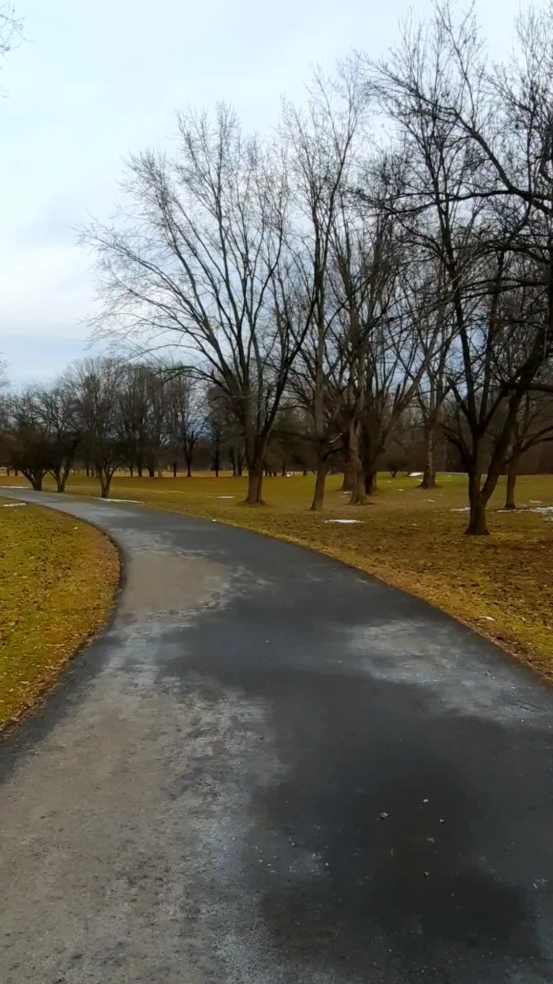 Otsiningo Park