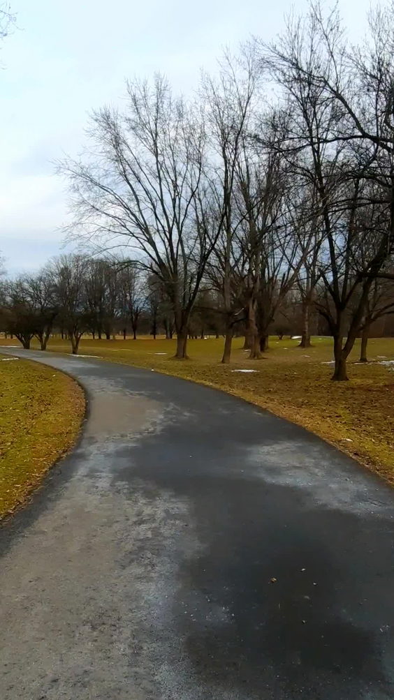 Otsiningo Park