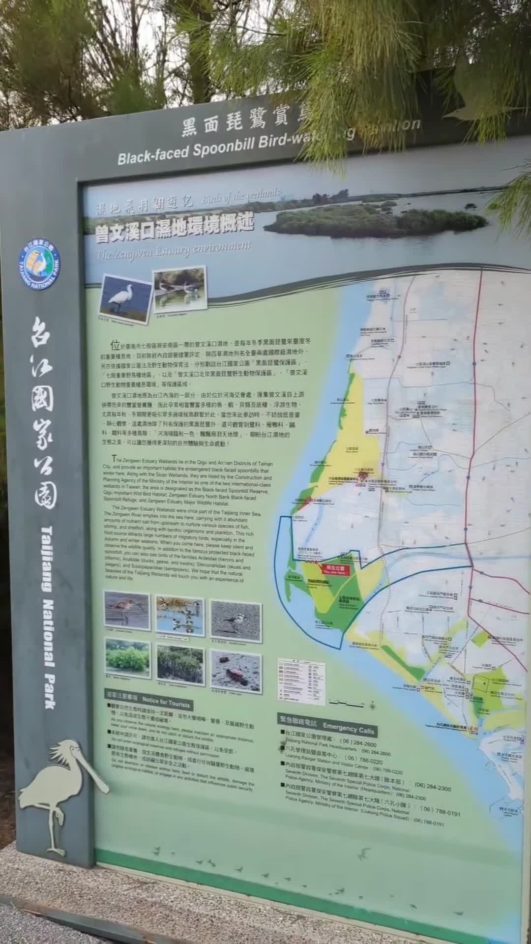第一賞鳥亭