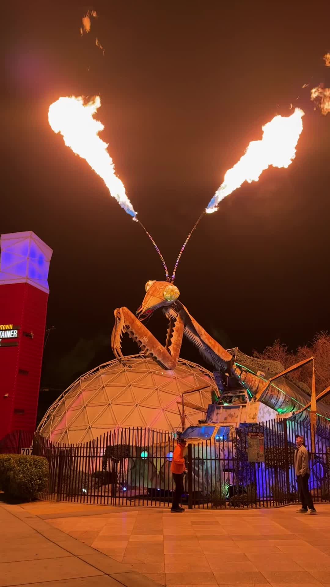 Video review of Downtown Container Park