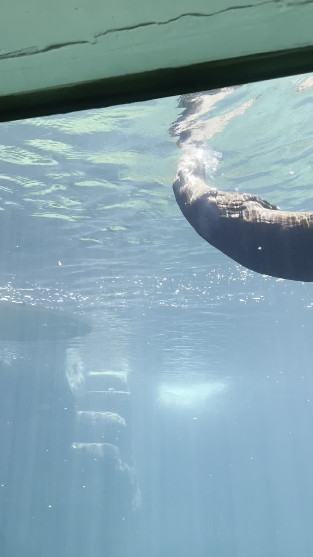 ABQ BioPark Aquarium