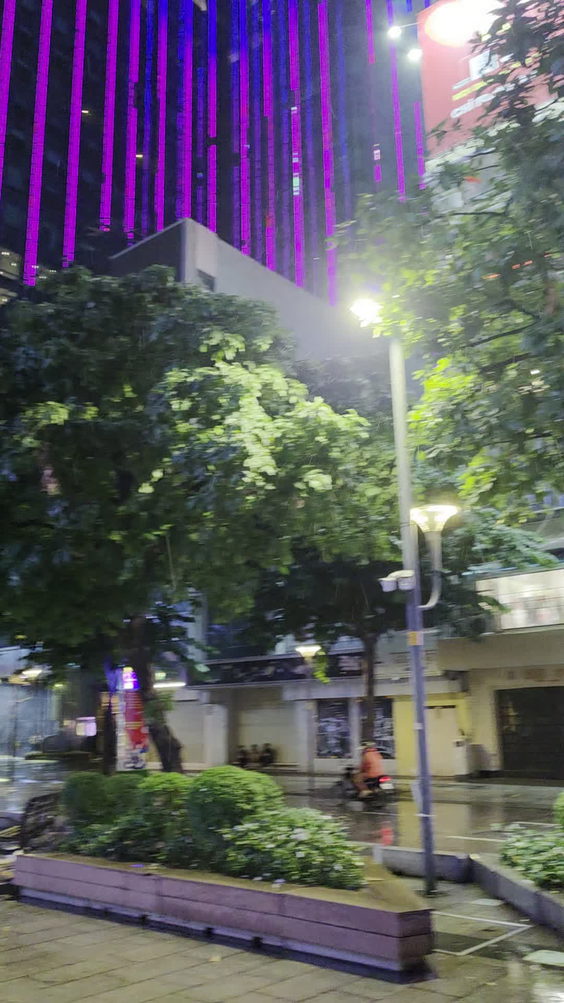 Nguyen Hue Walking Street