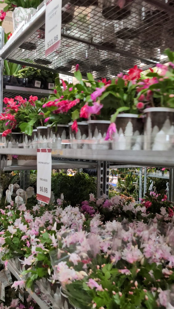 The Home Depot