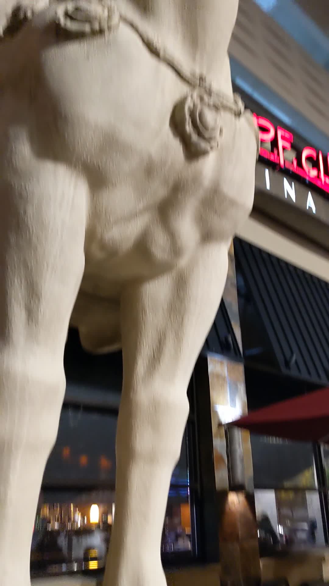 P.F. Chang's China Bistro