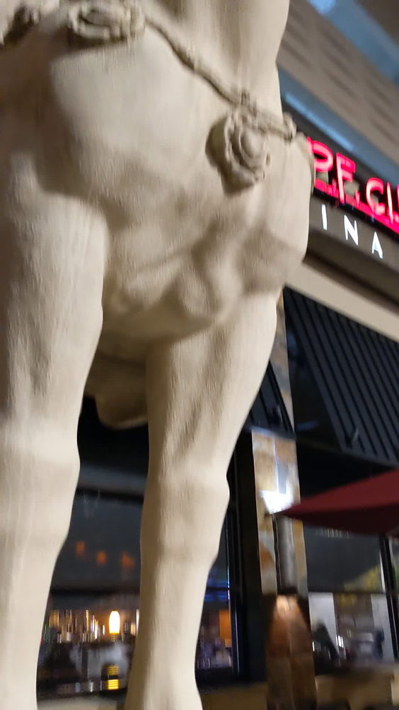 P.F. Chang's China Bistro