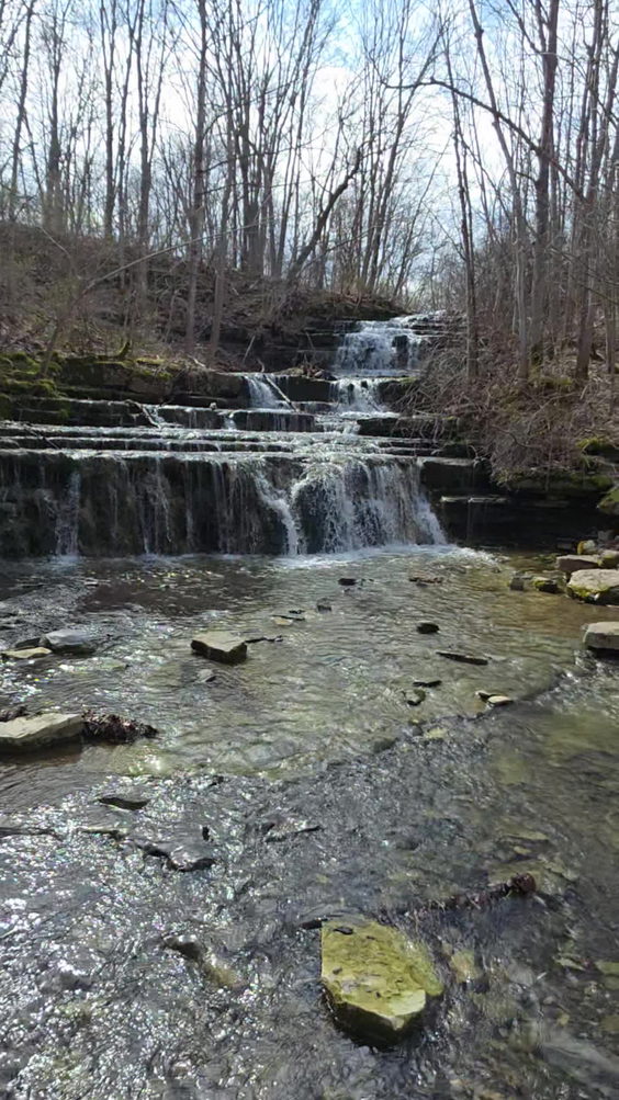 Three Falls Woods