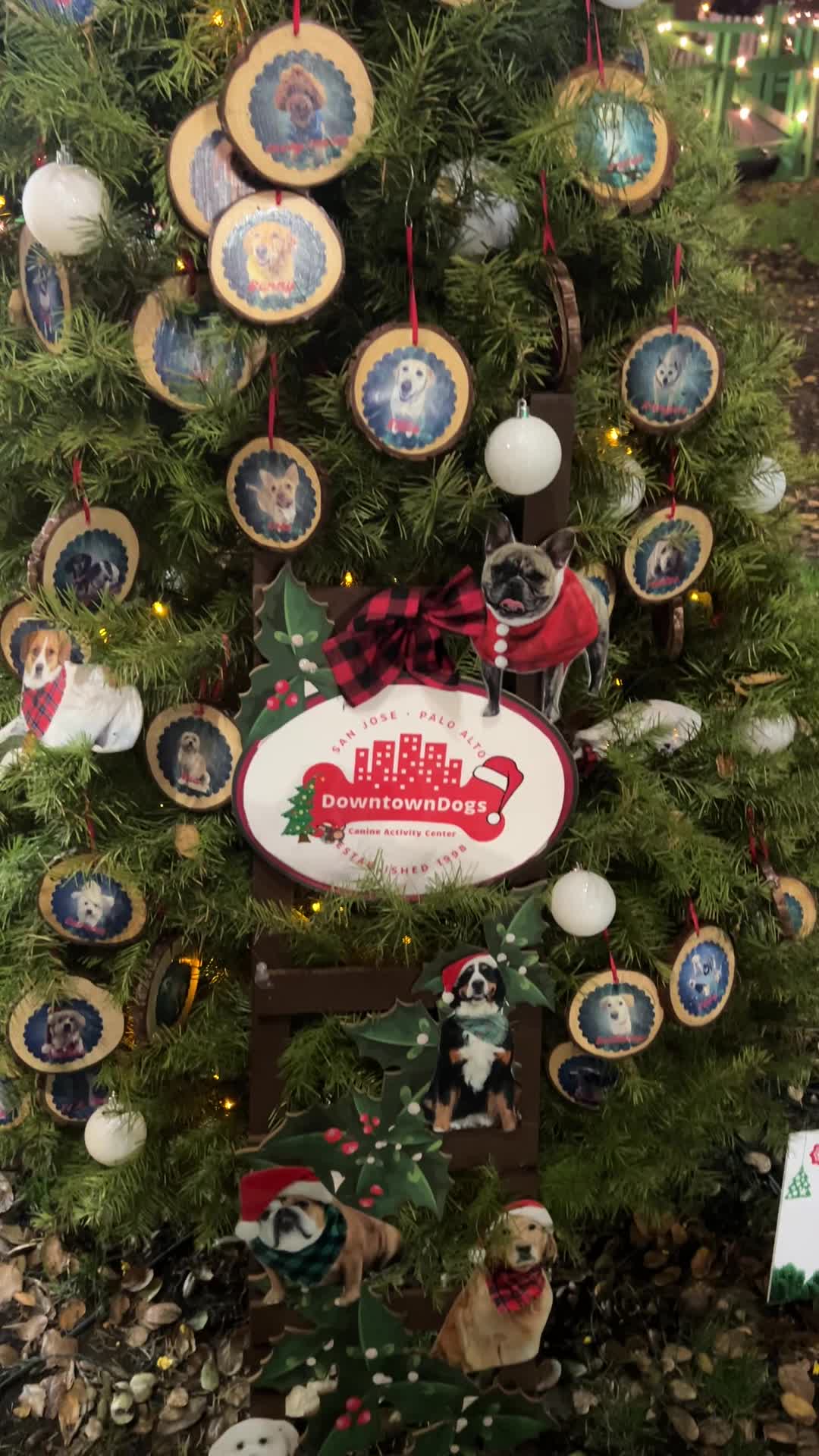 Christmas In the Park