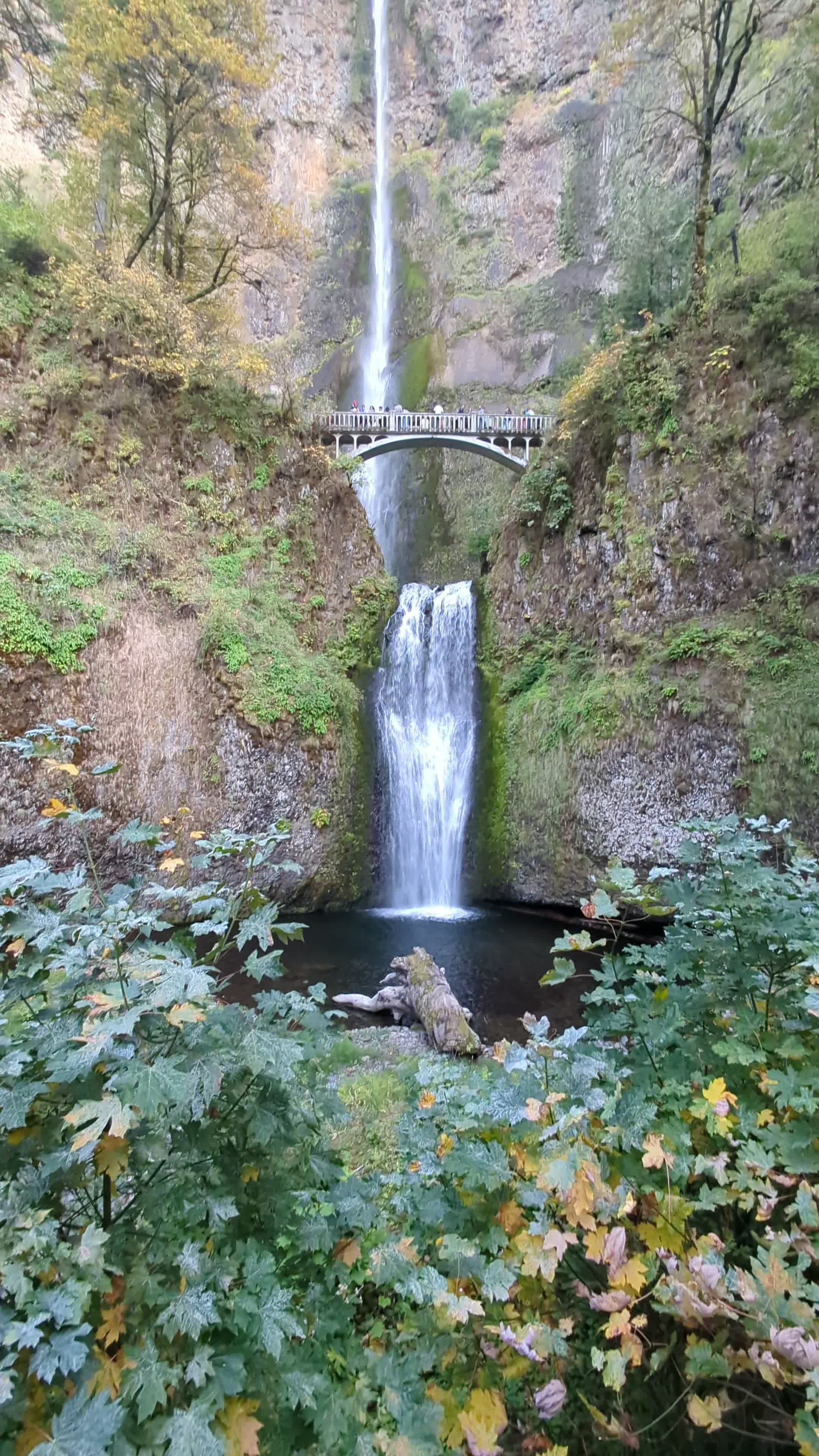 Multnomah Falls