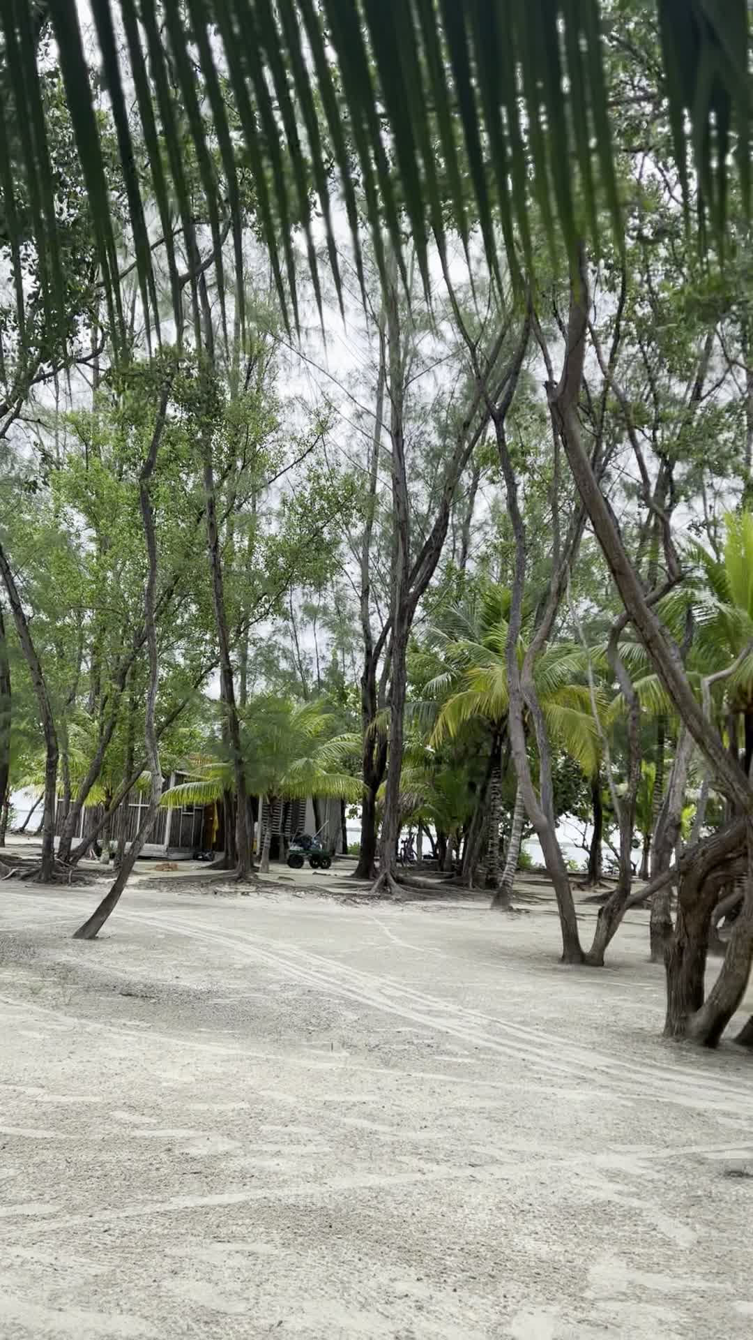 Thatch Caye Resort, a Muy'Ono Resort