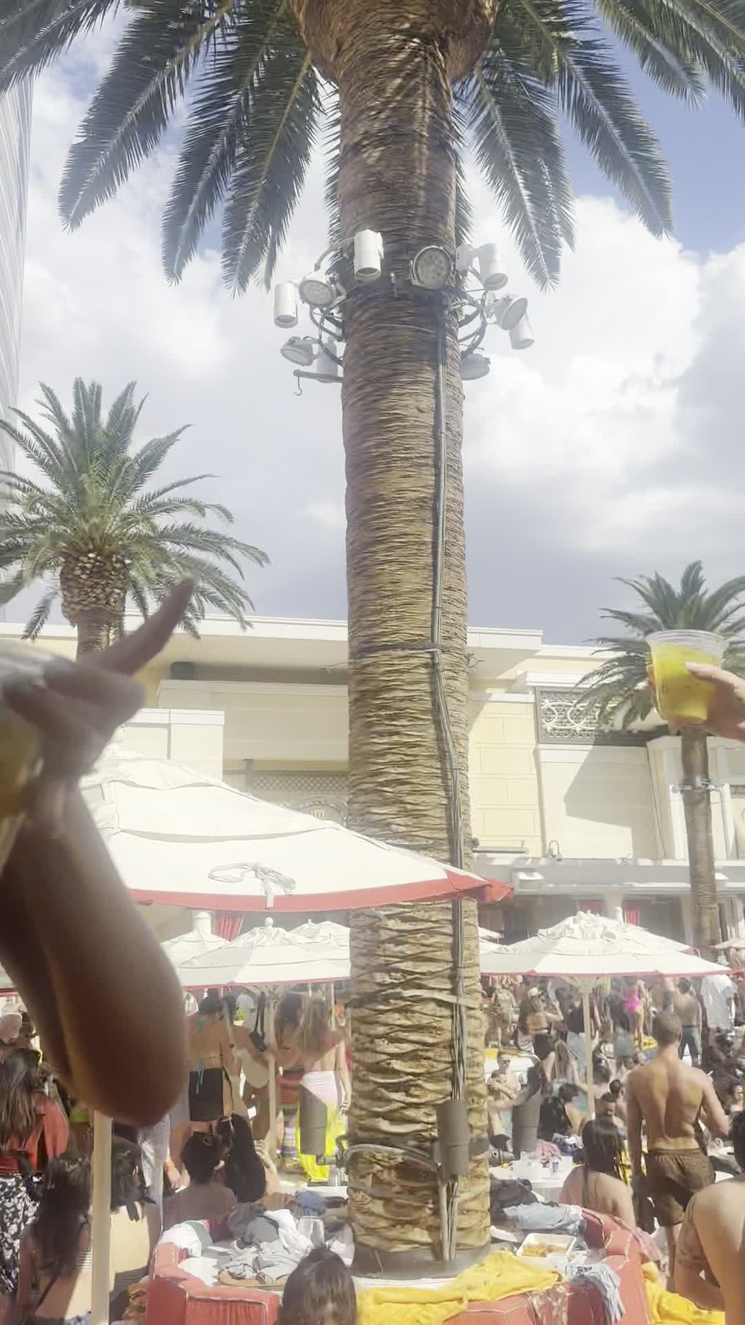 Video review of Encore Beach Club