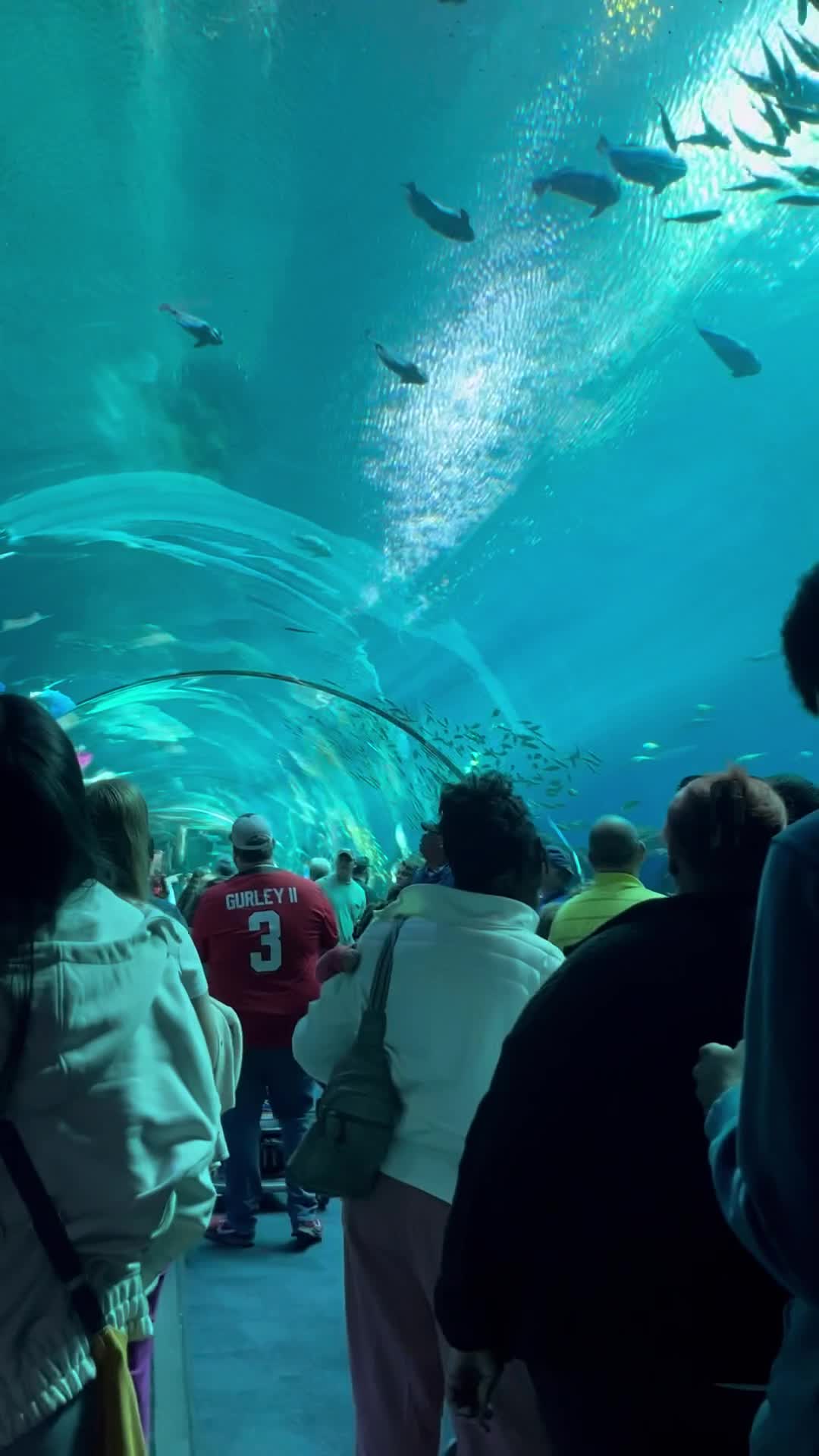 Georgia Aquarium