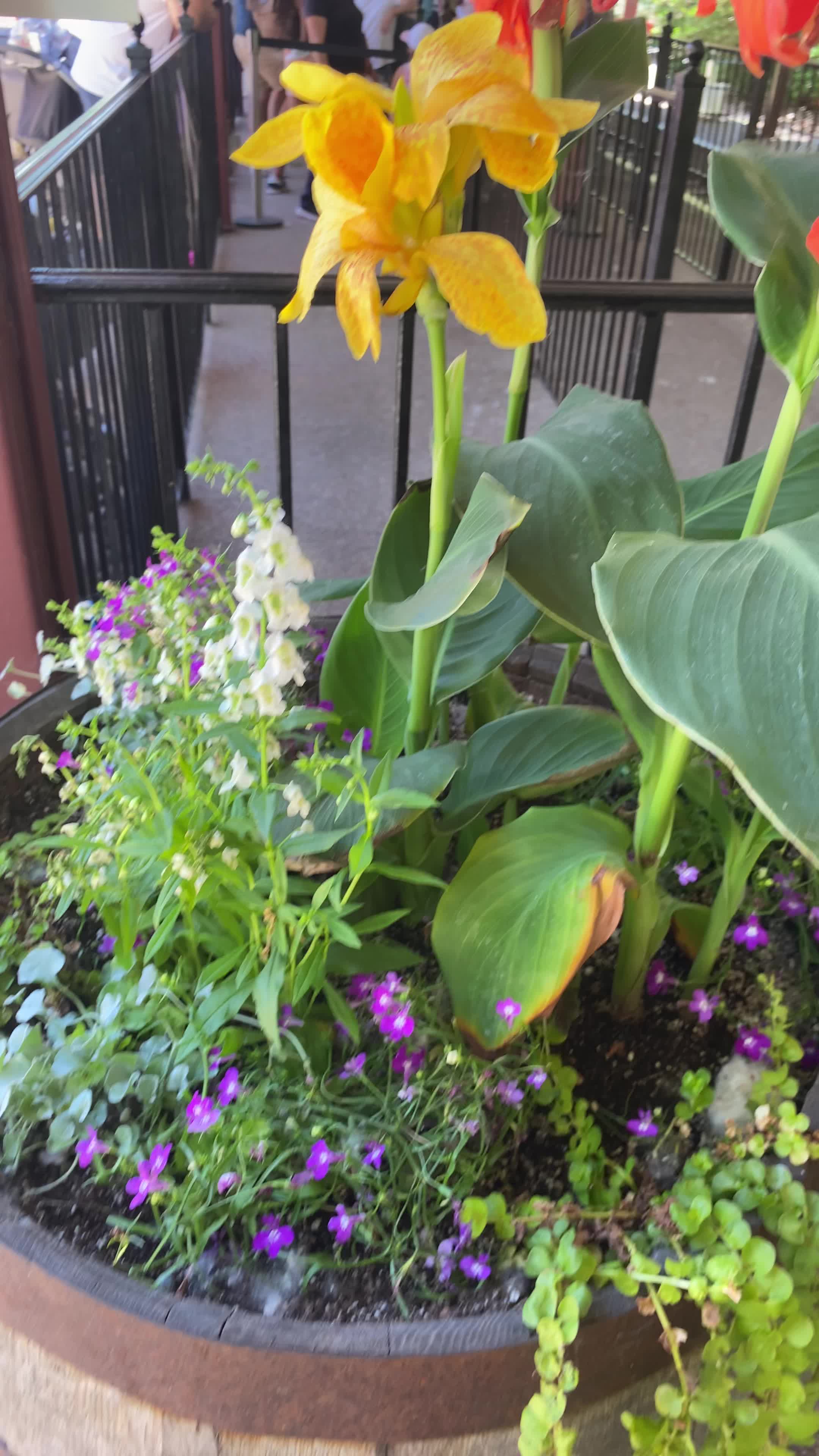 Video review of Denver Zoo