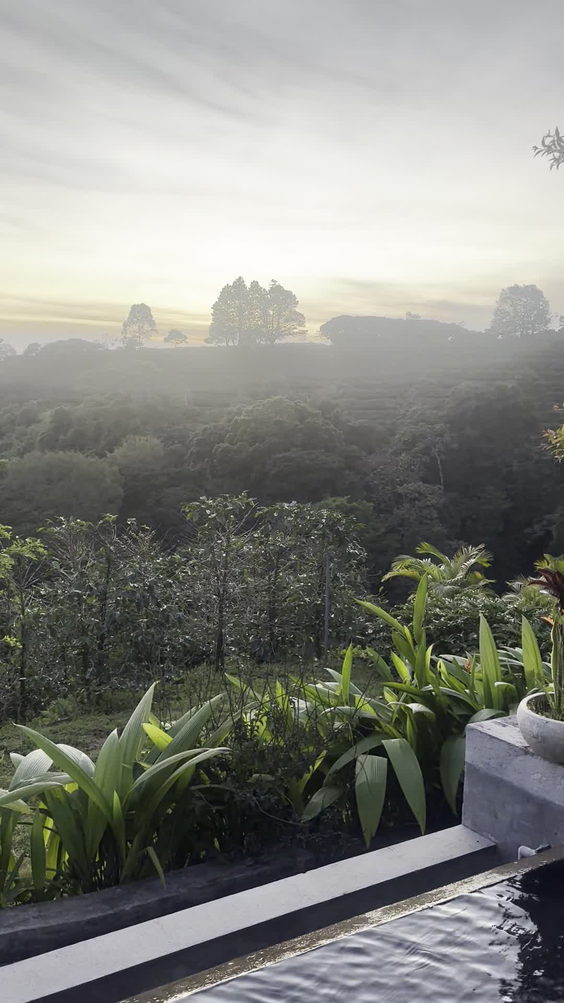 Hacienda Alsacia