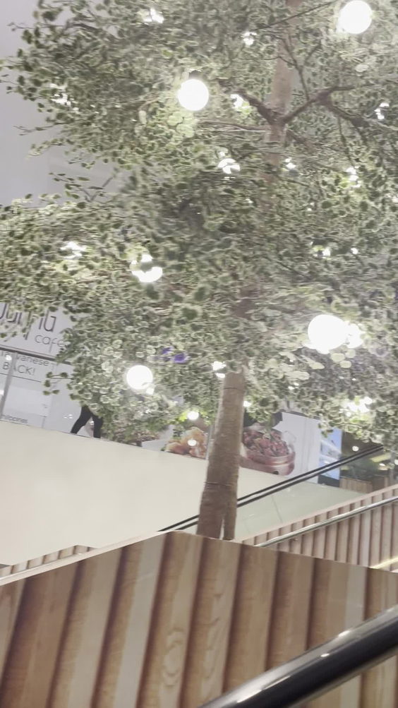 SM City Fairview