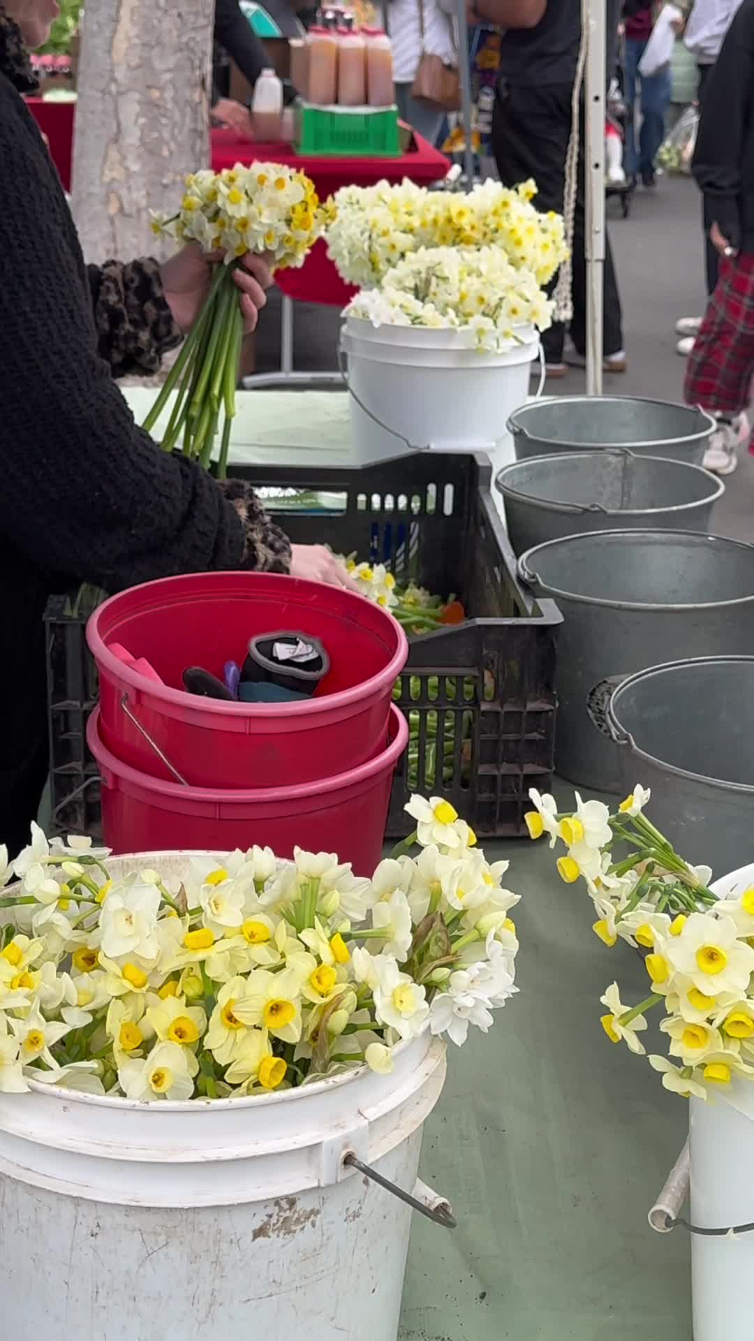 Video review of Mountain View Farmers' Market