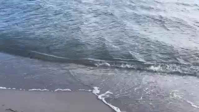 Hellerup Strand