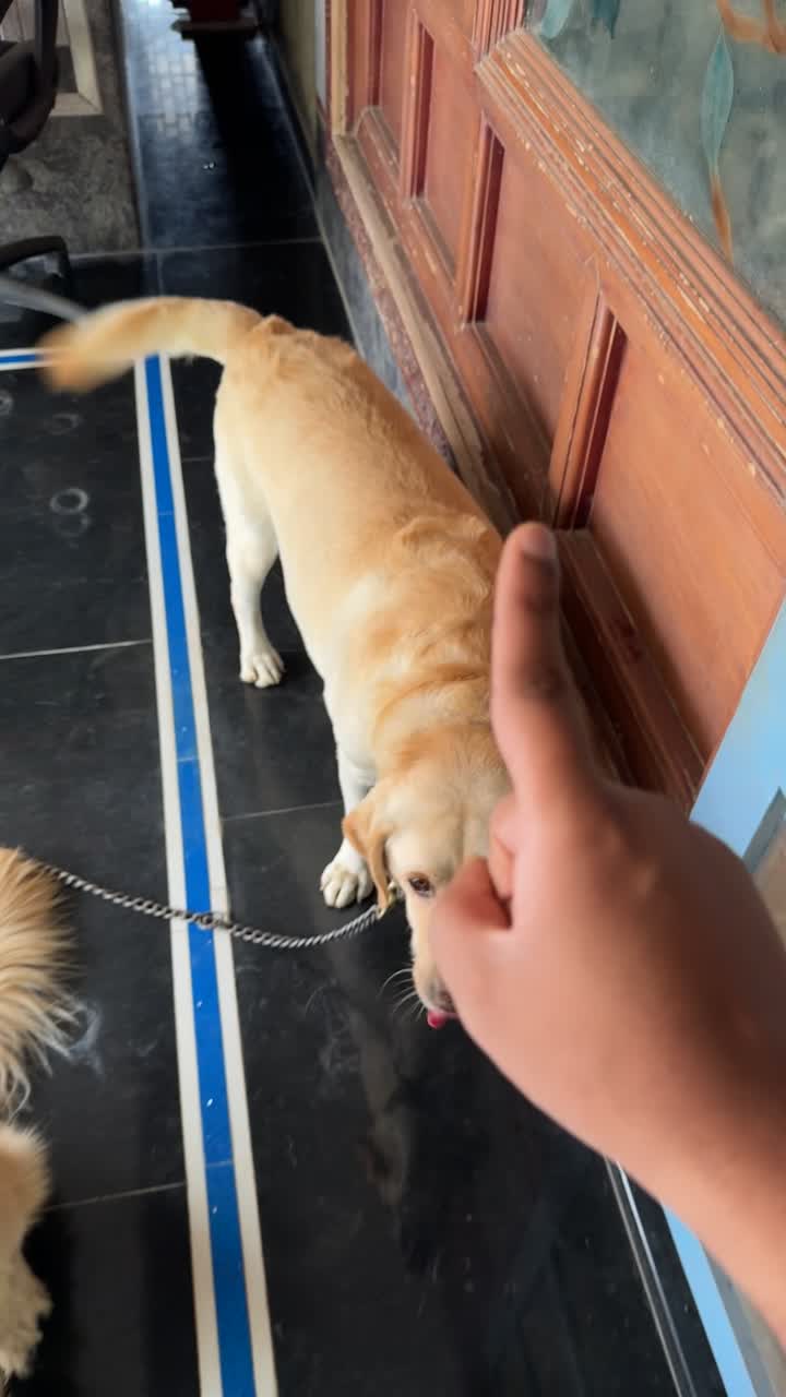 Rrr