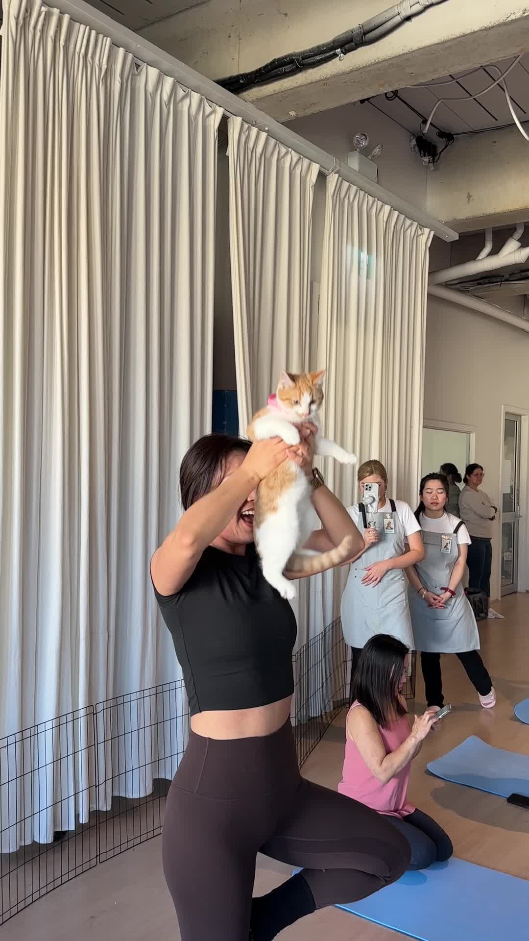 Power Living Yoga
