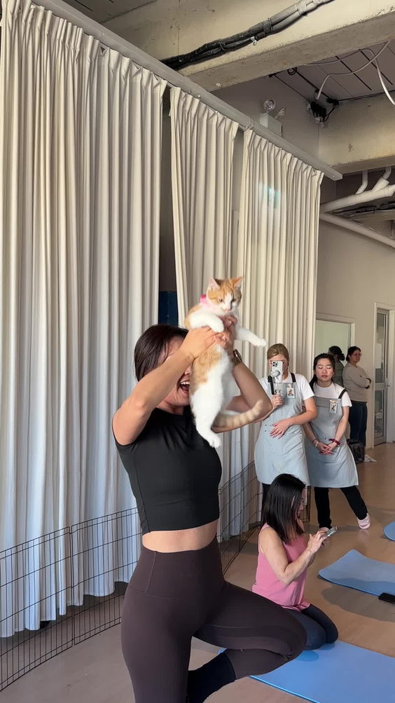 Power Living Yoga
