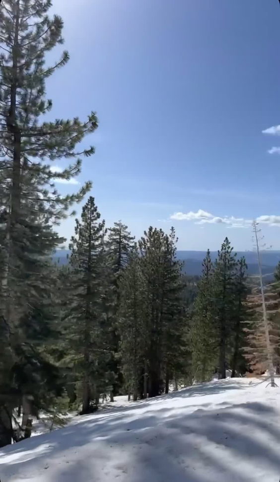 Dodge Ridge Ski Resort