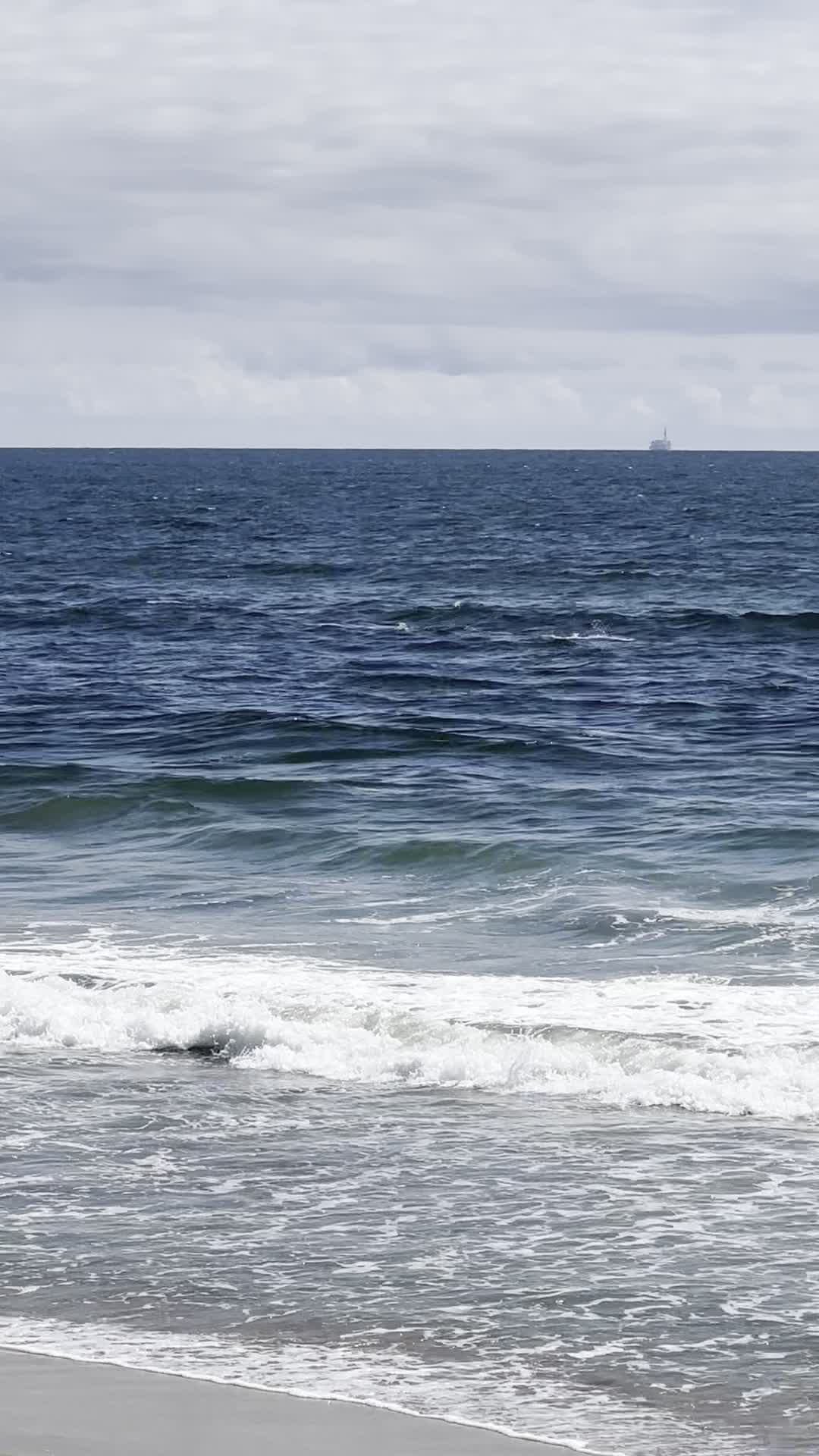 Video review of SeaLegs at the beach