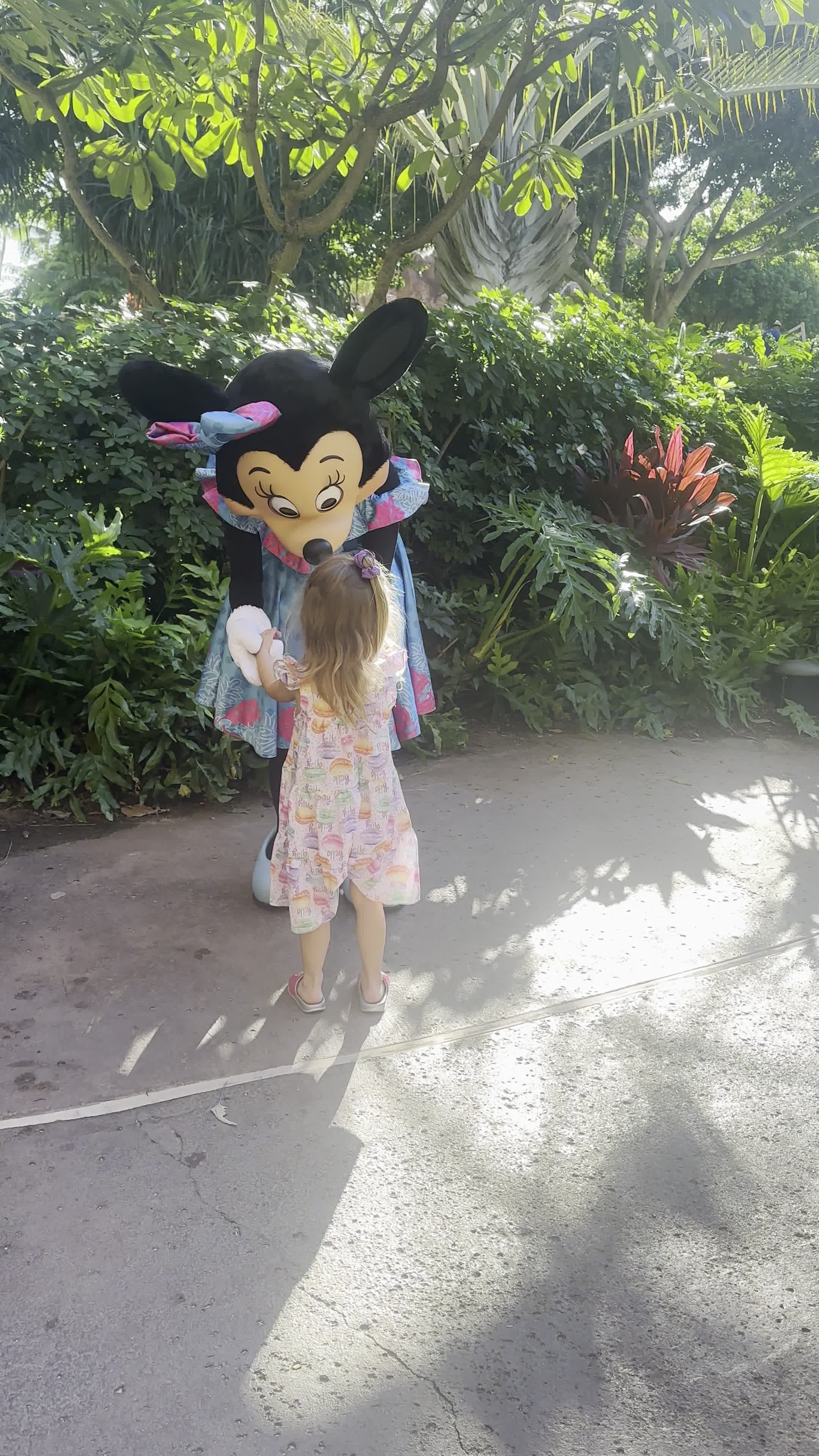 Video review of Aunty's Beach House