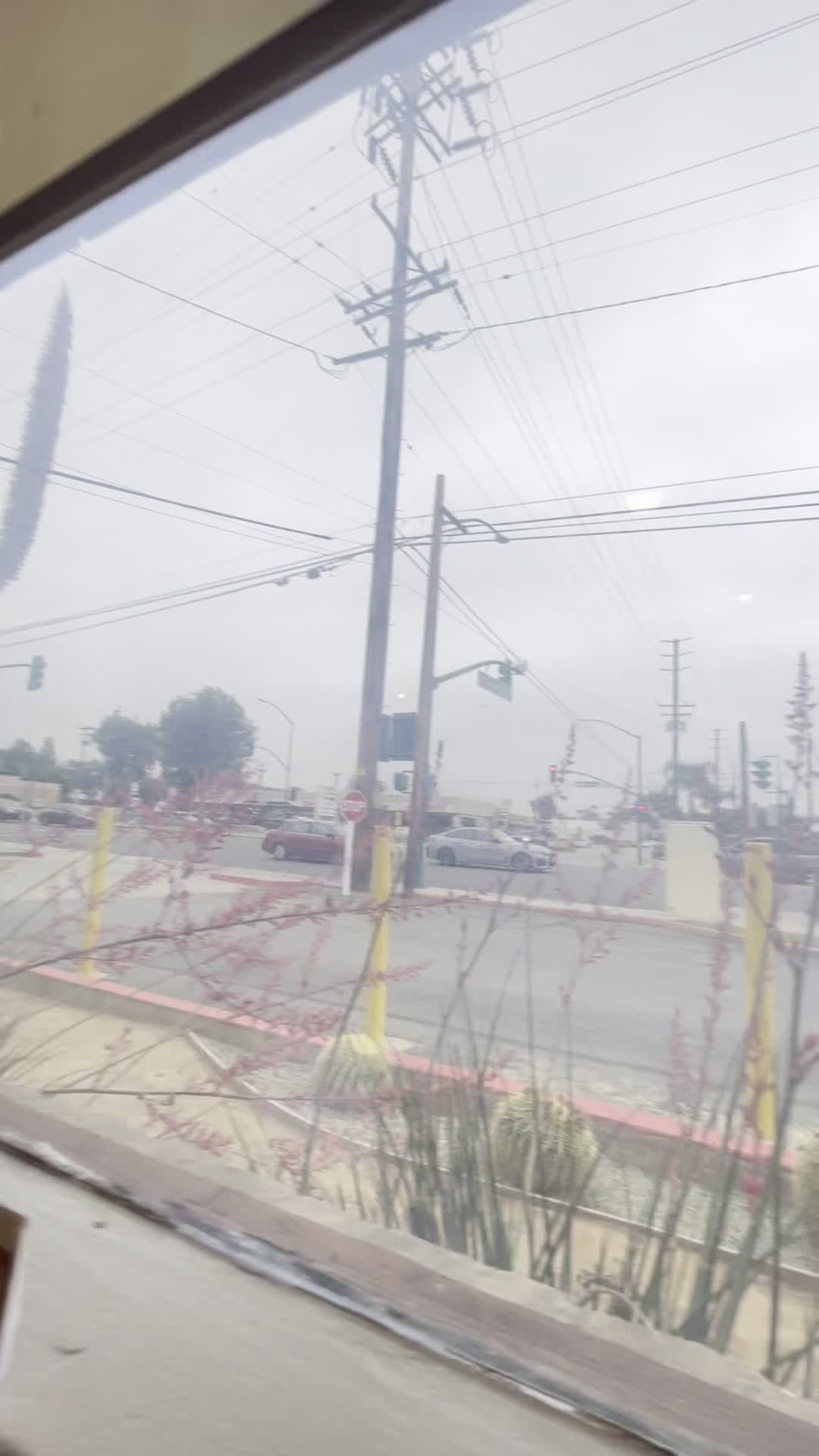 Video review of Ray's Tepeyac