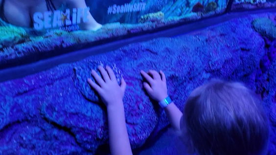 SEA LIFE San Antonio