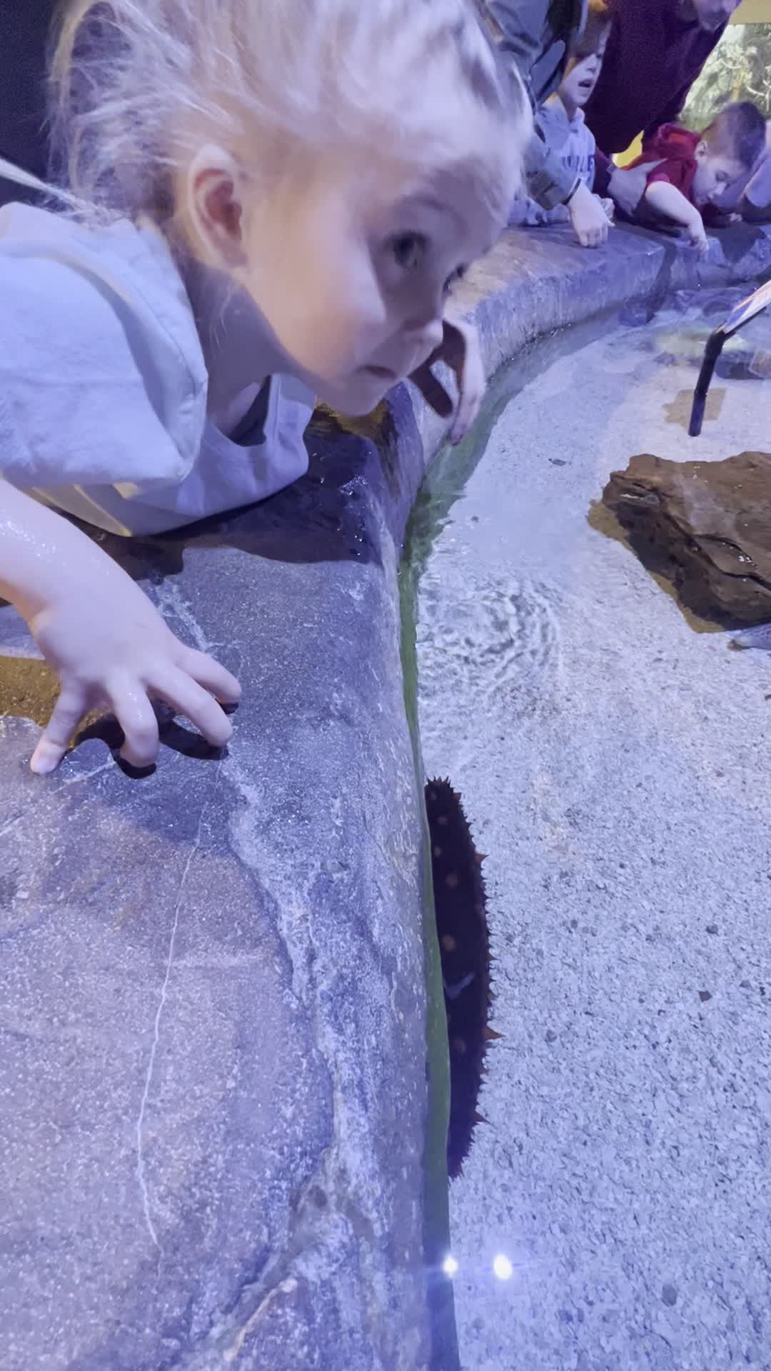 Cincinnati Zoo & Botanical Garden