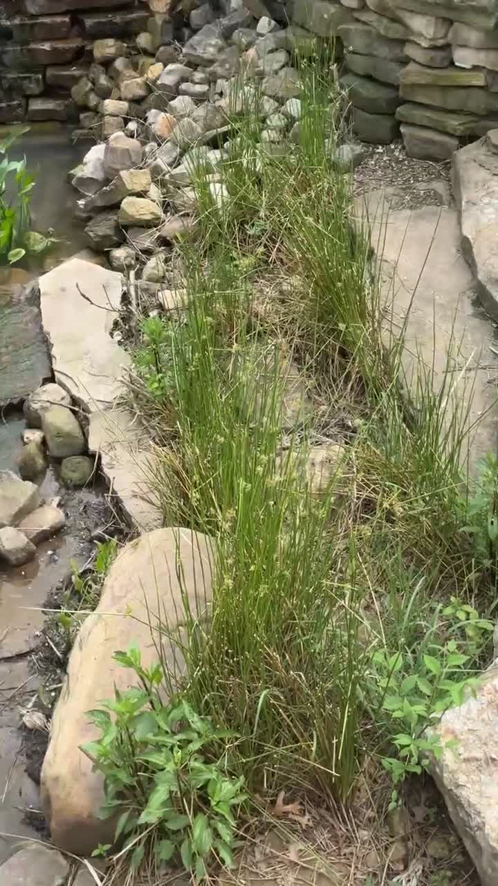 Video review of Fort Worth Water Gardens