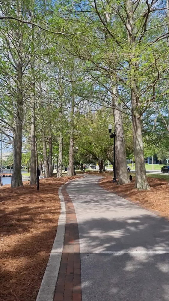 Eola Park Realty