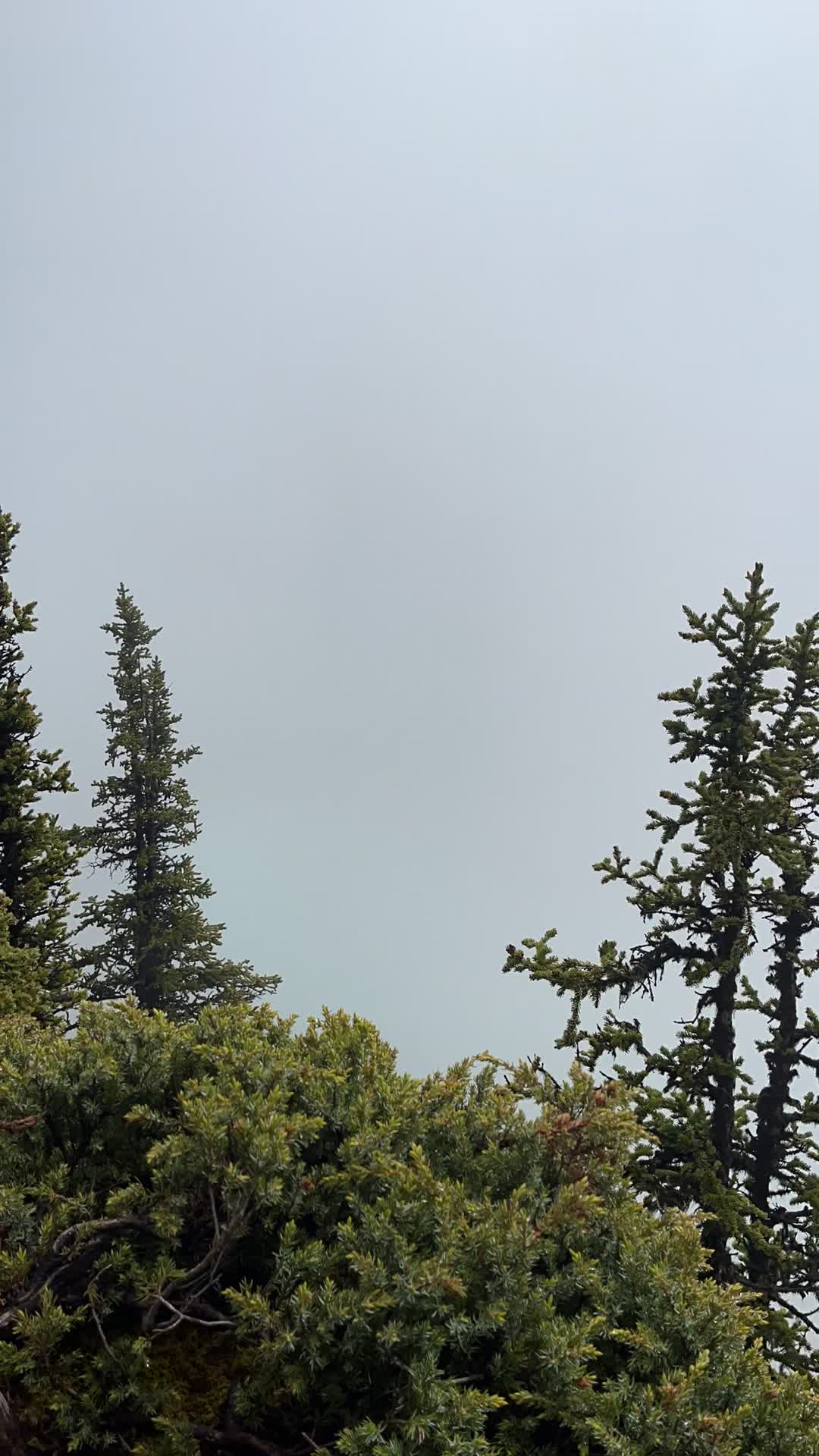 Lake Louise Soft-Sided Trailer/Tent Campground