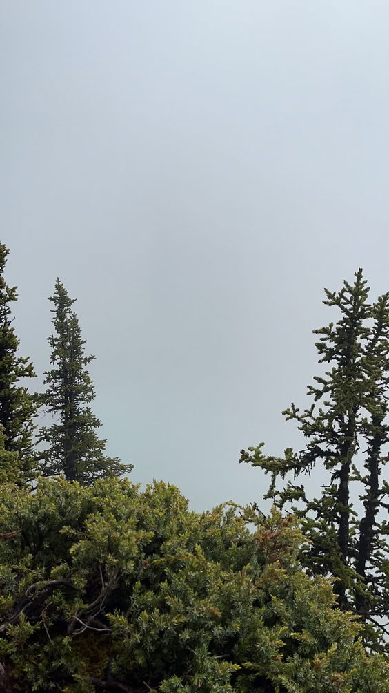 Lake Louise Soft-Sided Trailer/Tent Campground