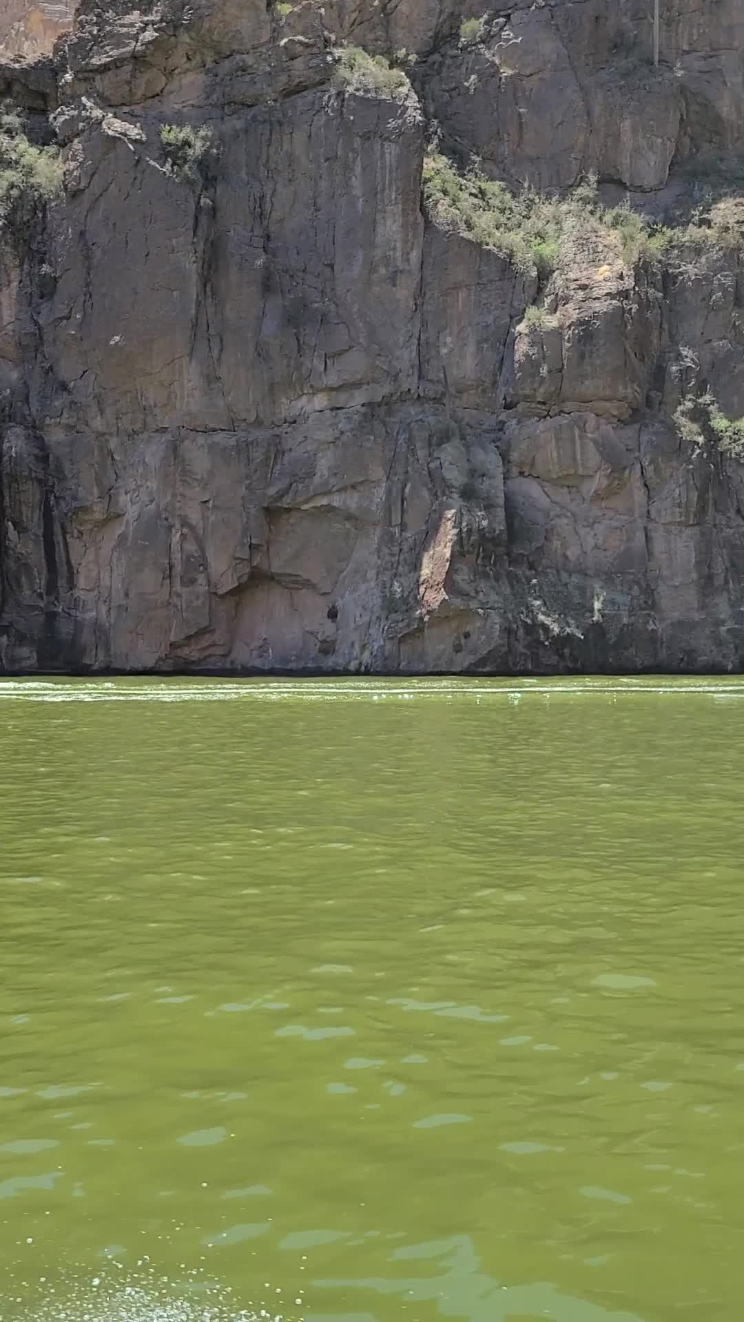 Canyon Lake Marina & Campground