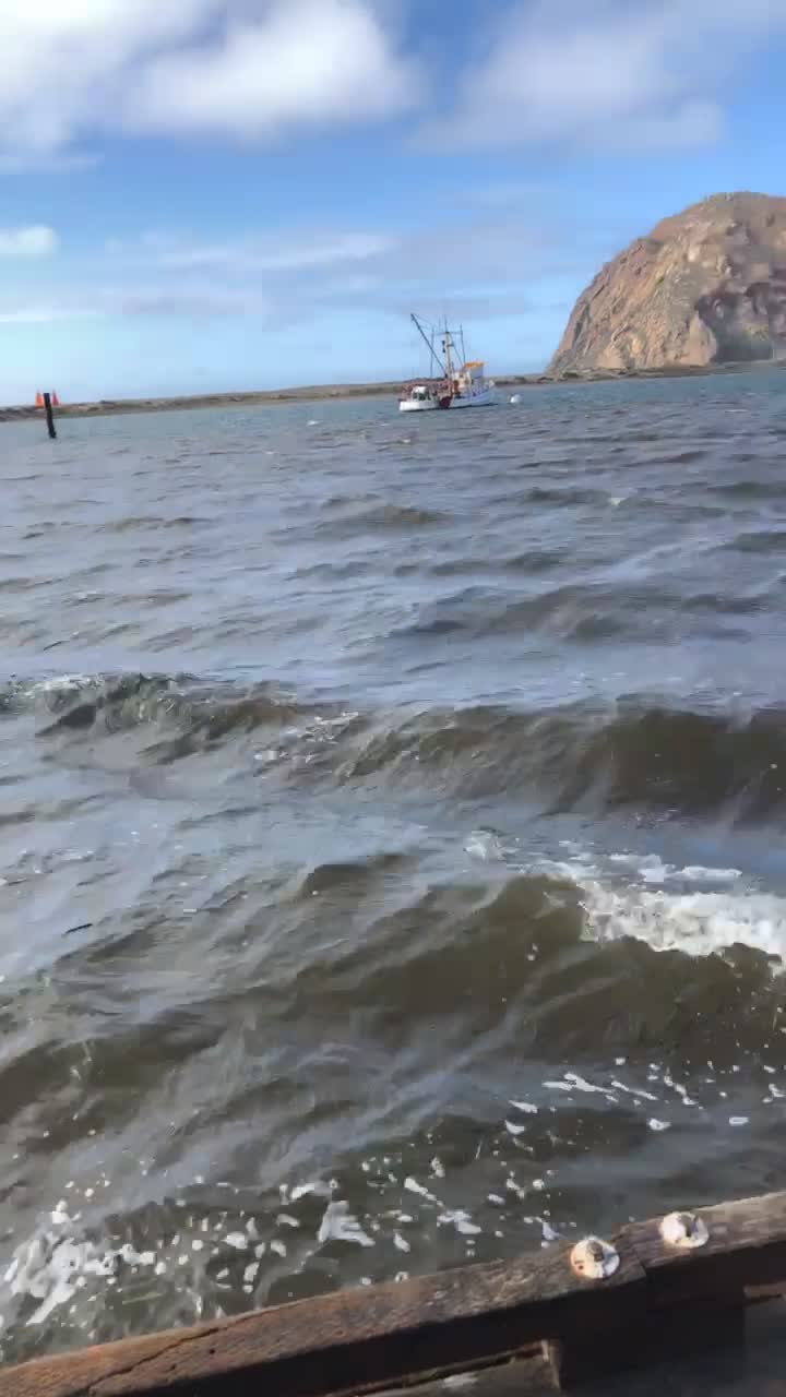 Morro Bay State Park