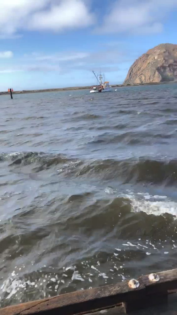 Morro Bay State Park