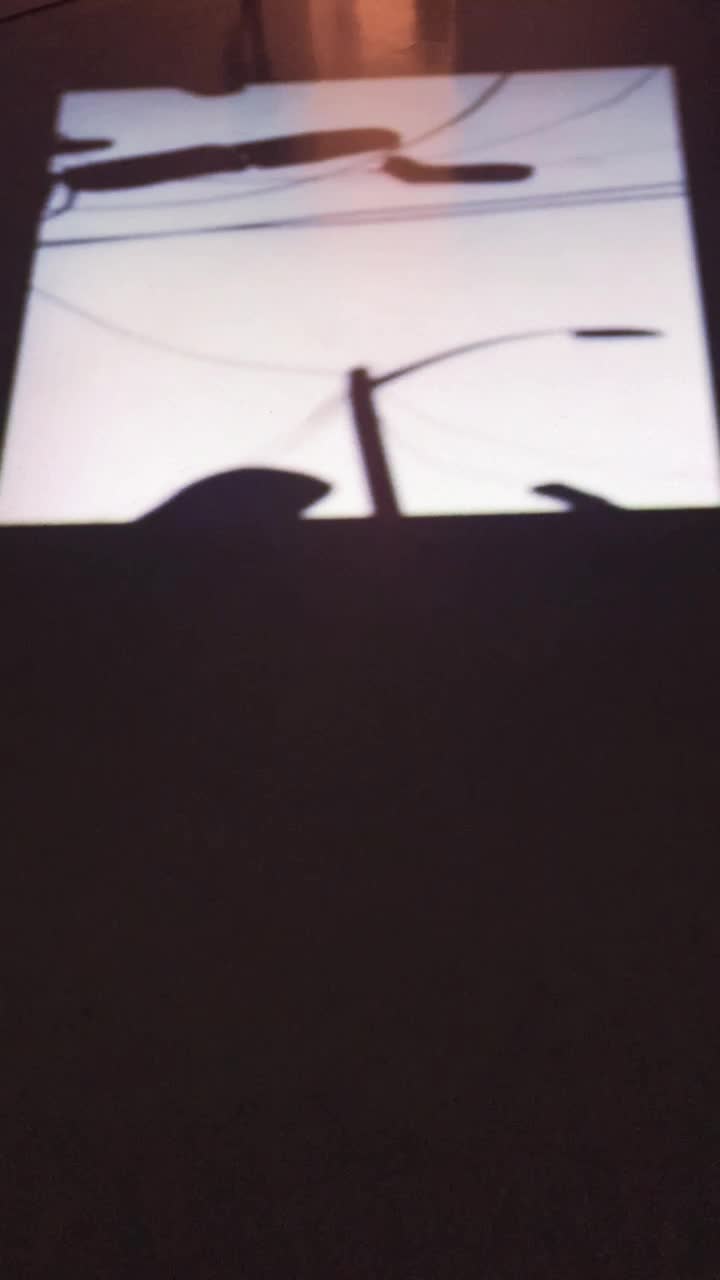 Museum of Modern Art (MoMA)