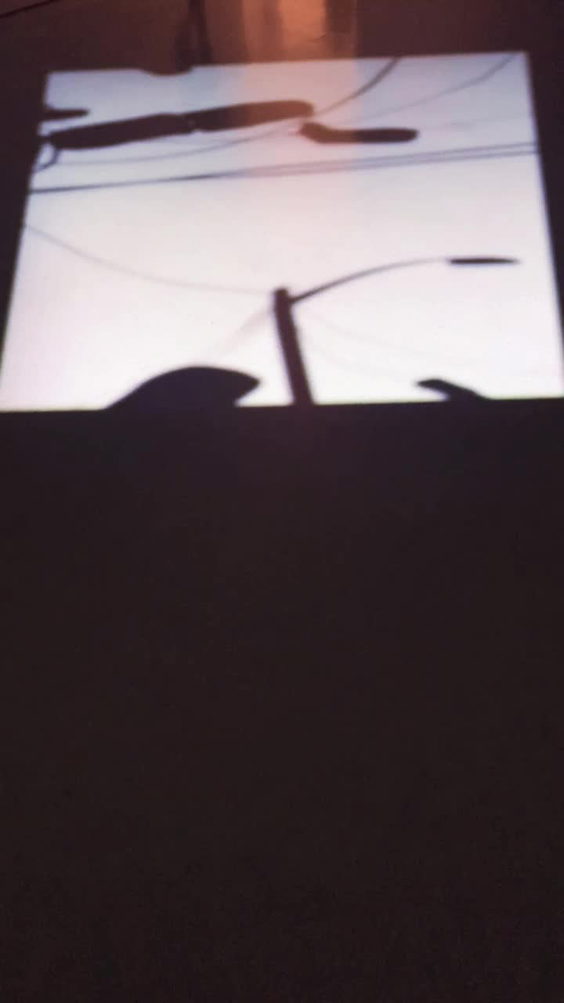 Museum of Modern Art (MoMA)