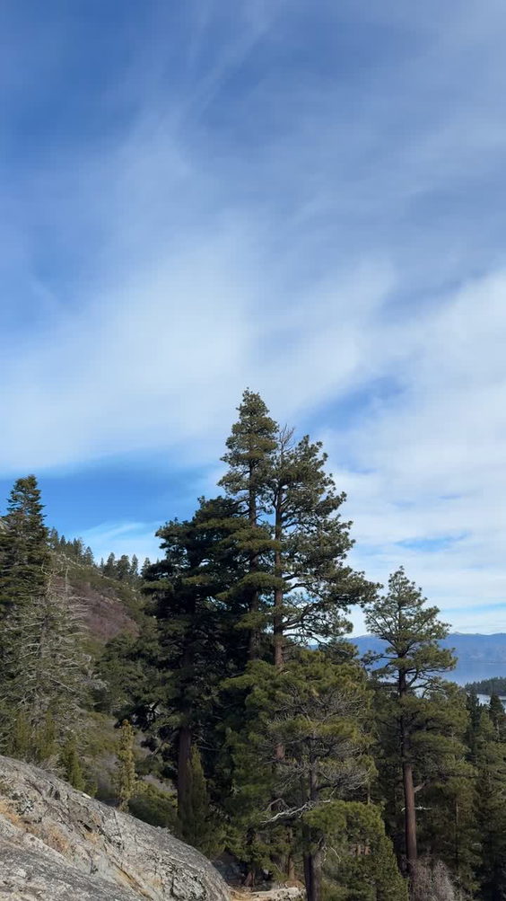 Eagle rock