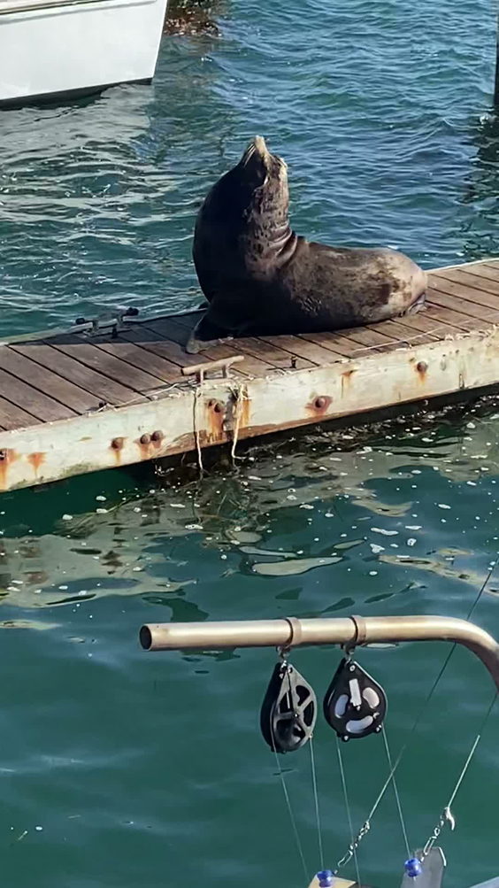 Central Coast Gondola