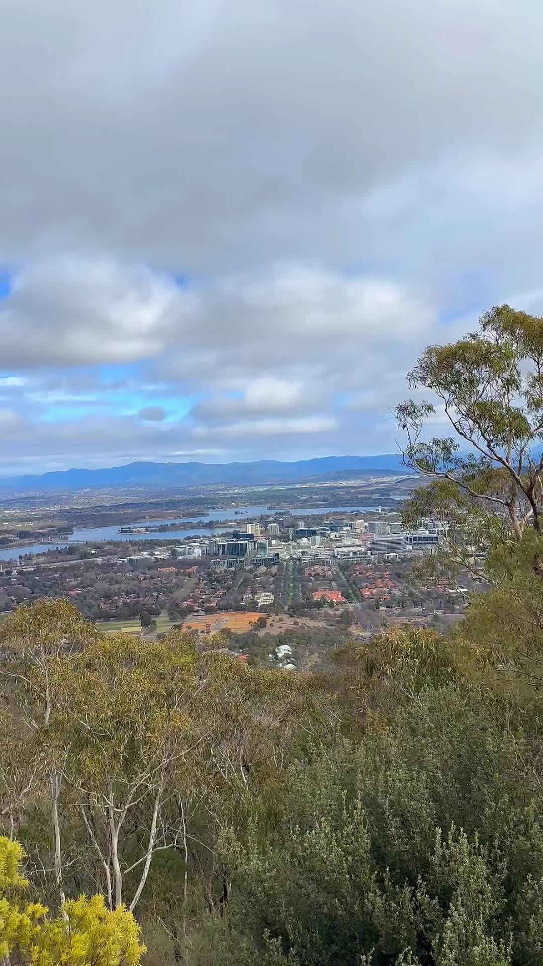 Marion Mahony Griffin View
