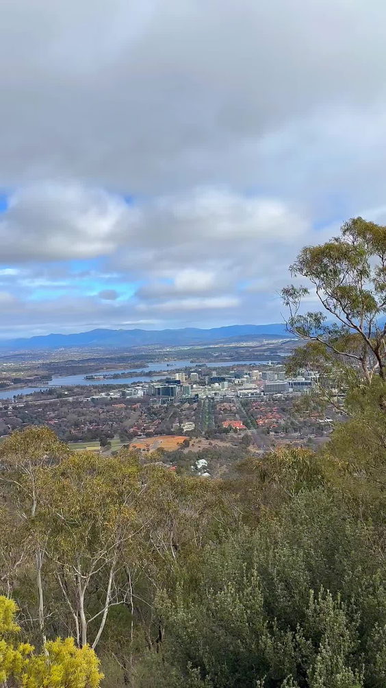 Marion Mahony Griffin View