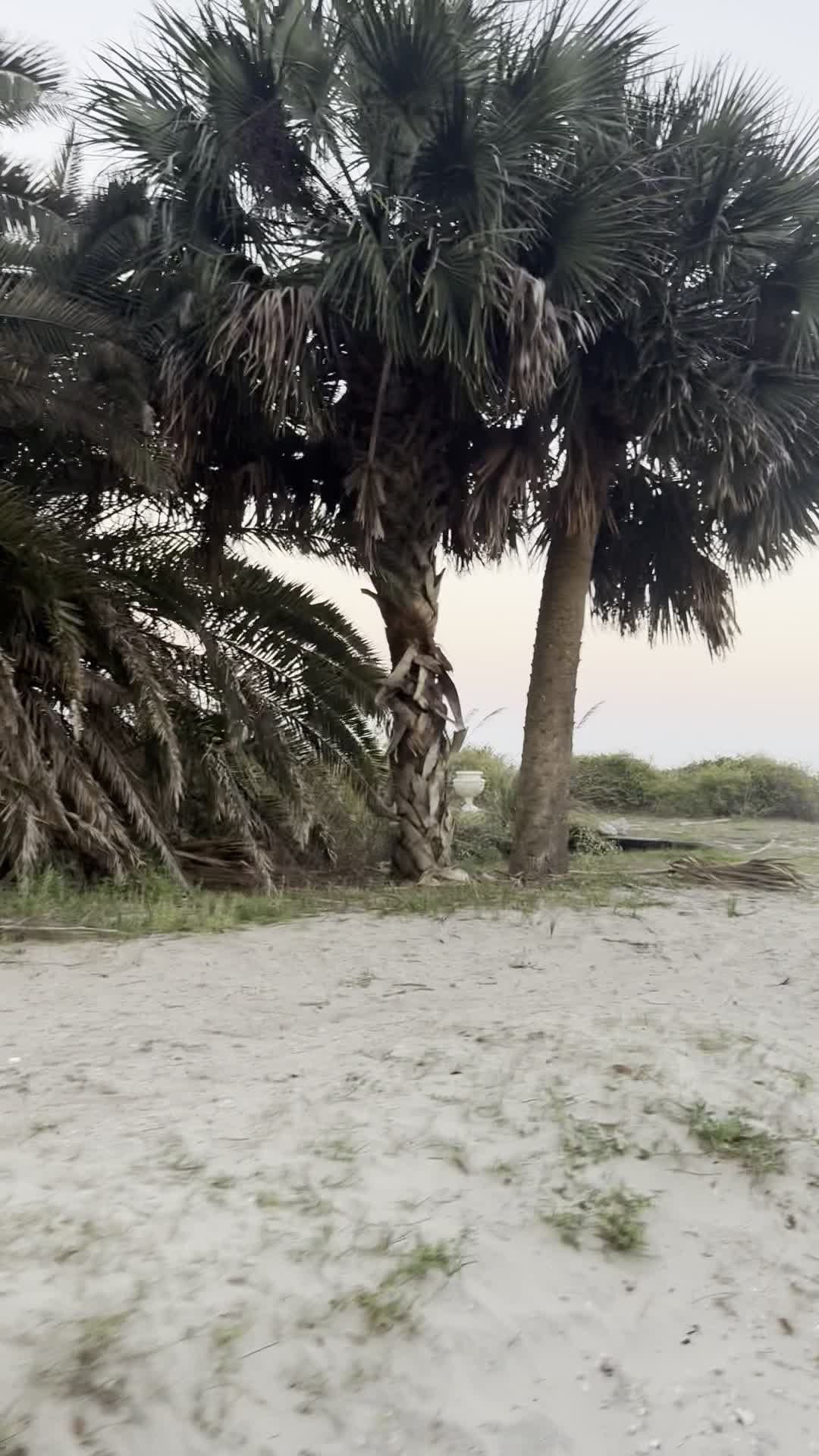 Robin's Beach 17
